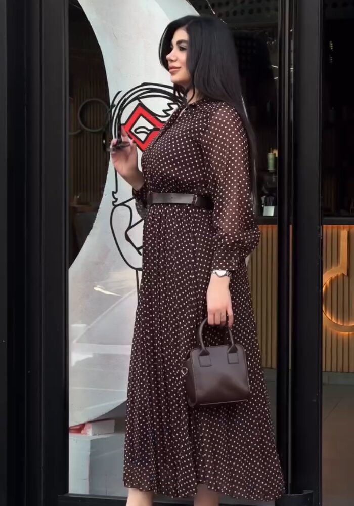 Retro Whisper – Polka Dot Dress